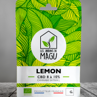 1072x1474px magu doypack lemon oct 2022