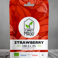 1072x1474px magu doypack strawberry oct 2022